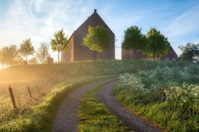 开云体育网址-中国女篮调整进攻节奏保持比赛主动权，中国女篮进步