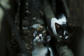 开云体育官网app-中国香港队未来的主攻方向：提升全员战术素养和竞技心理，香港队名单