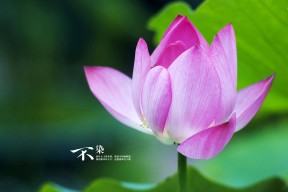 开云在线入口-冬季两项世界杯中国队名列前茅，冬季世界杯联赛怎么办