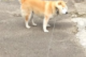 开运体育电脑版-加拿大队如何通过战术调整在国际乒联混合团体世界杯中取得佳绩