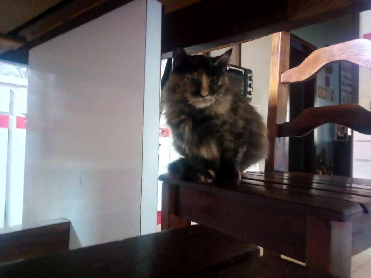 国家男篮增加国际热身赛磨合阵容与战术，男篮热身赛数据统计