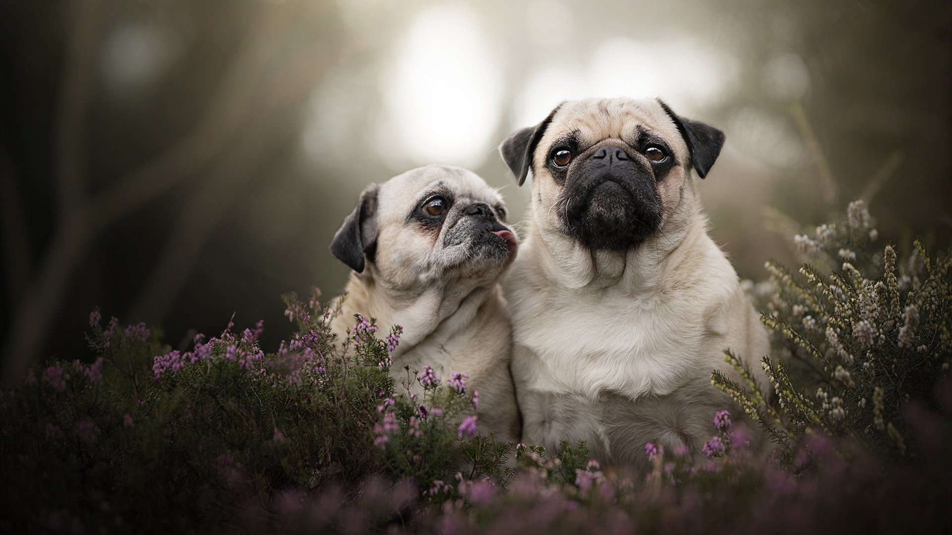 中国足球联赛加强赛场秩序管理和安全保障,足球联赛比赛秩序册