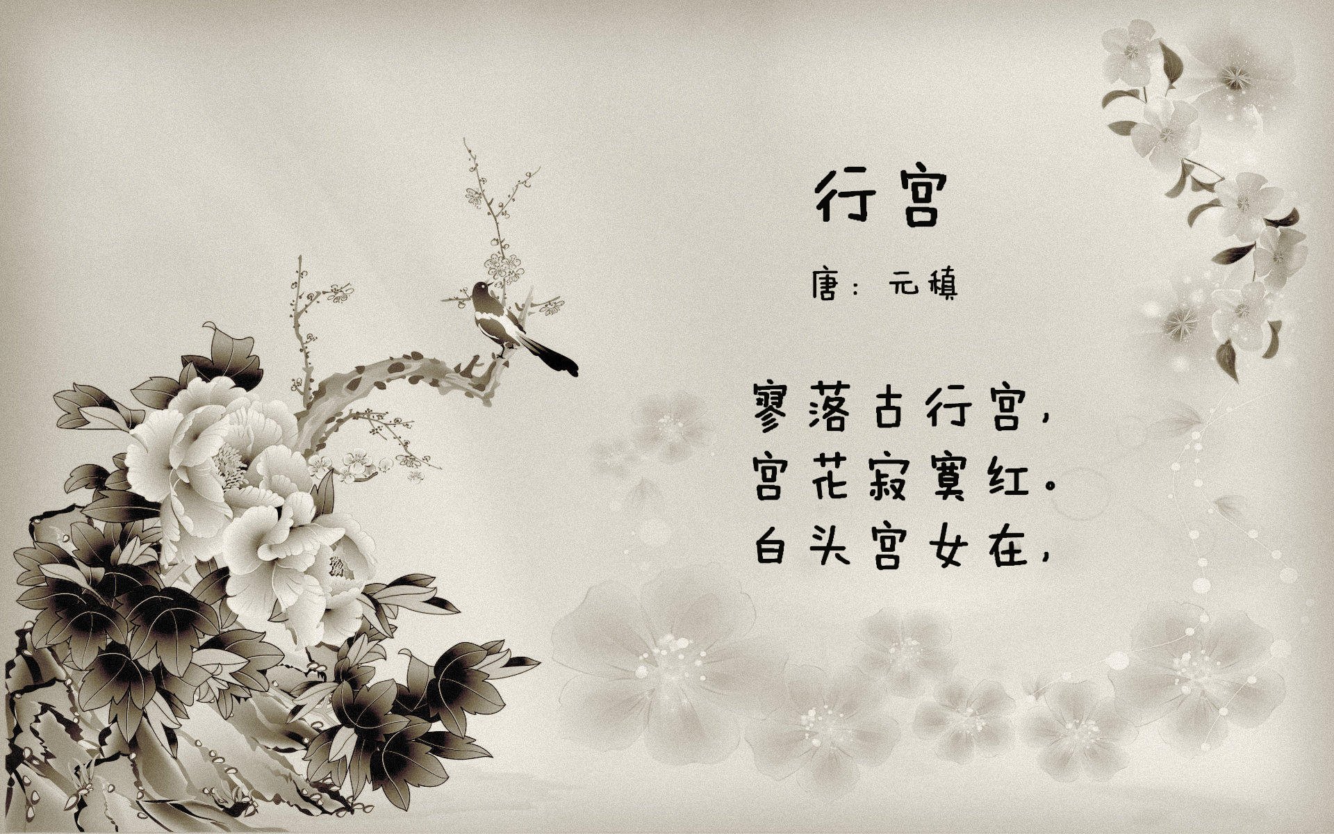 国王更衣室氛围视频曝光暖胃,国王穿新衣