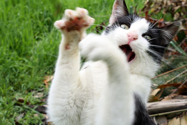 多角度回顾经典对决还原最真实比赛细节，经典vs