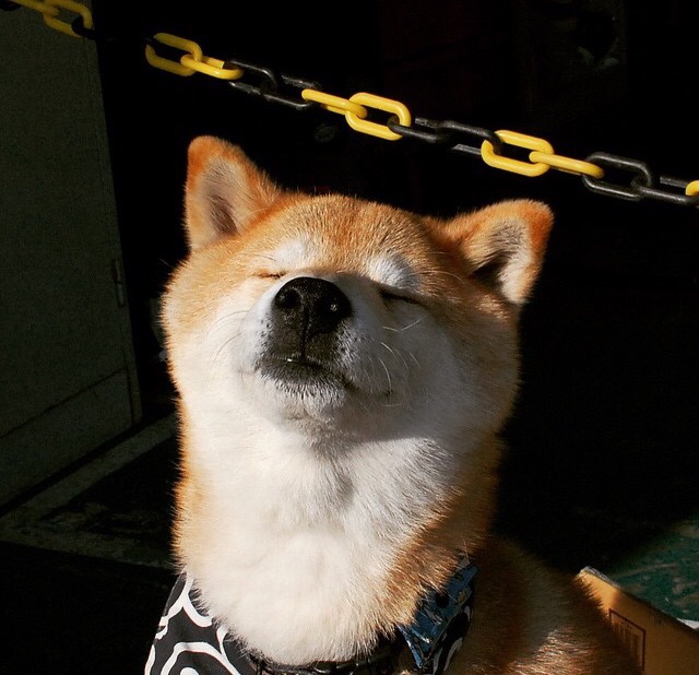 媒体采访老将讲述职业生涯经历激励年轻球员坚持初心，球星采访视频