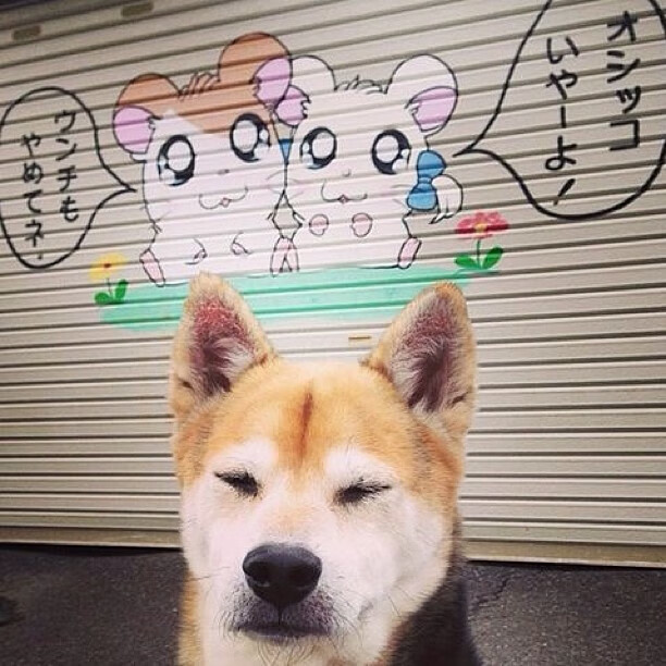 德甲冠军争夺:攻防转换引领比赛高潮,德甲战术