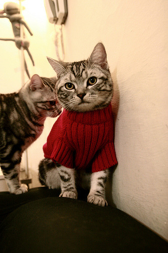 意甲攻防对决：节奏快、变化多，精彩不断！，意甲防守